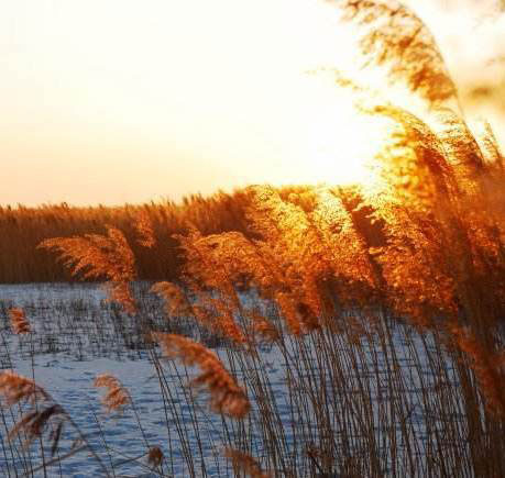 生化危机:一款新游戏正在开发中